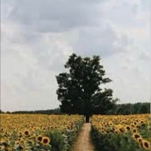 Meet your Posher, Emme